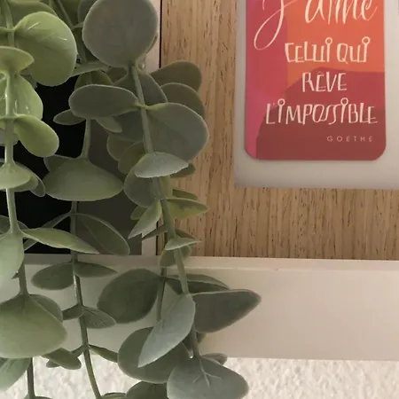 Apartment La Royale Au Le Cap D'agde Agde