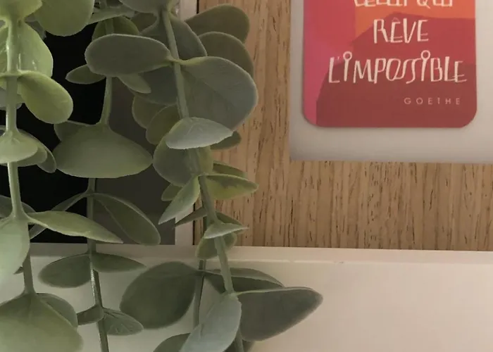 Appartement La Royale Au Le Cap D'agde Agde